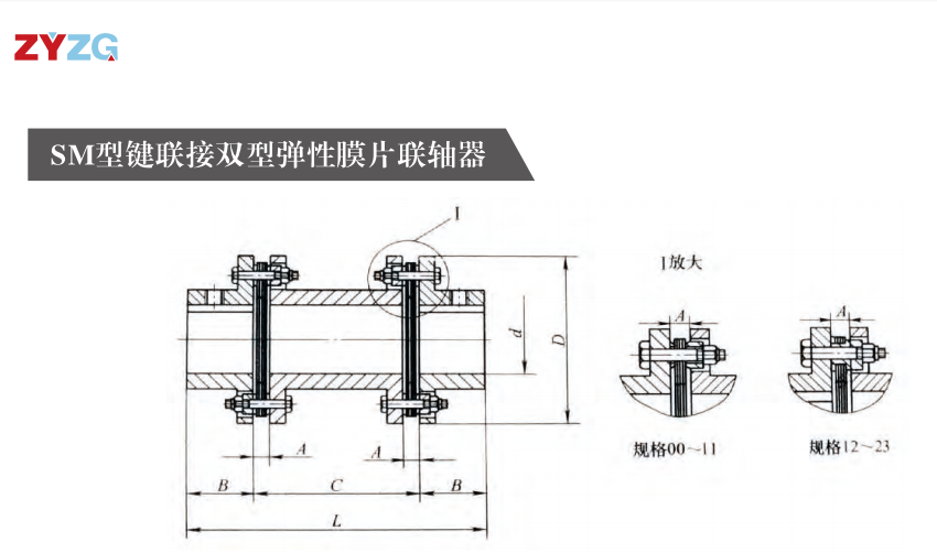 SM型键连接双型弹性膜片羞羞视频在线观看入口